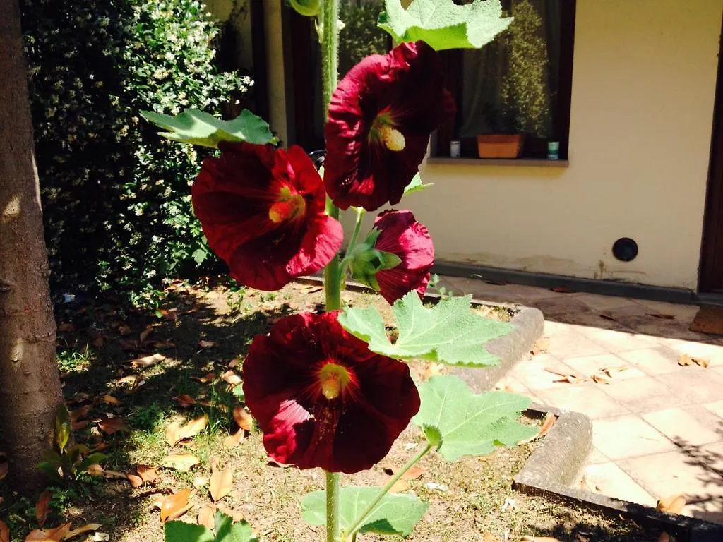 La Casa Di Scarlett Bed & Breakfast Florence Italy
